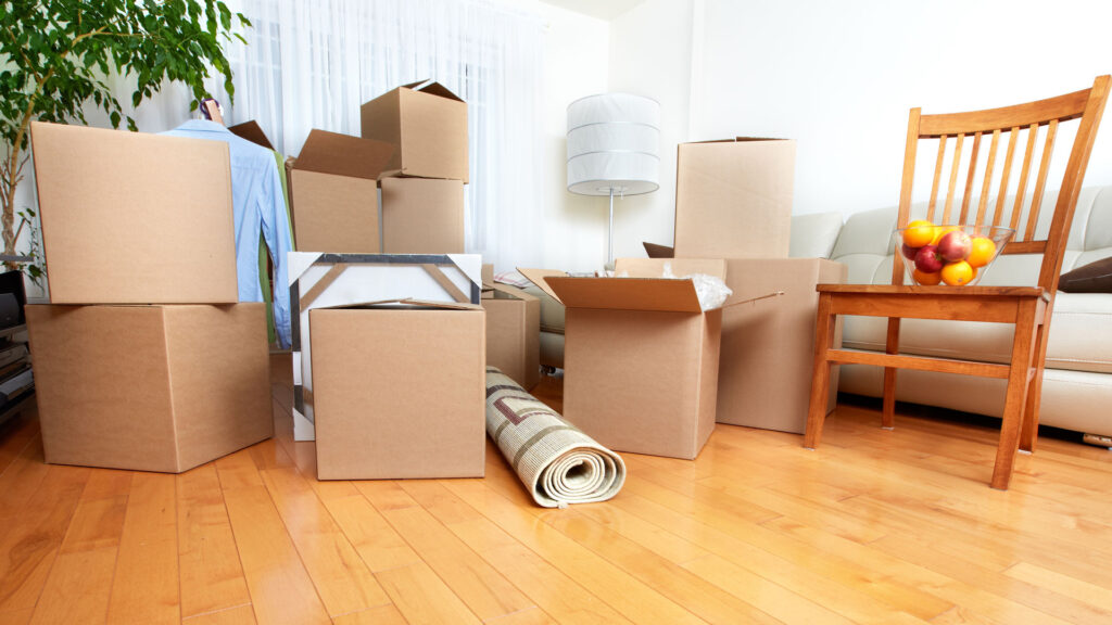 Removalist In Randwick: Quick Workarounds You Should Keep In Mind